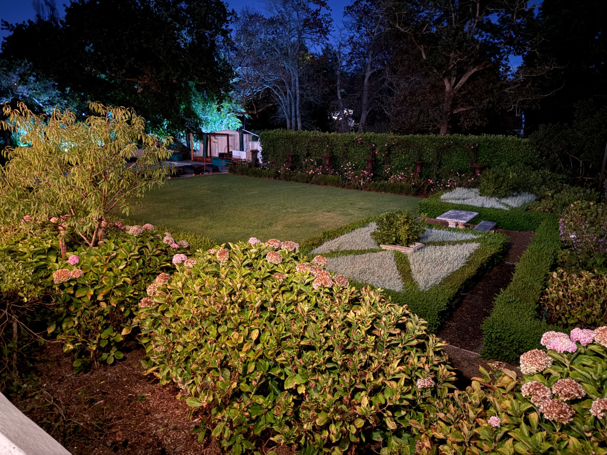 Garden dining at night